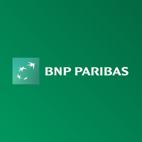BNP-work